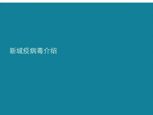 新城疫病毒介绍