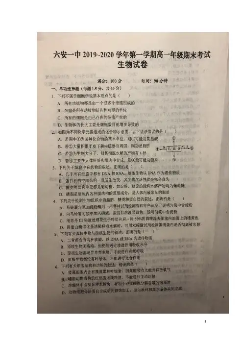 安徽省六安市第一中学2019_2020学年高一生物上学期期末考试试题(扫描版)