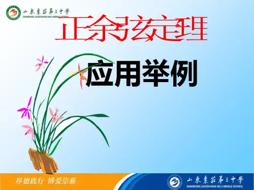 正余弦定理的应用举例PPT课件
