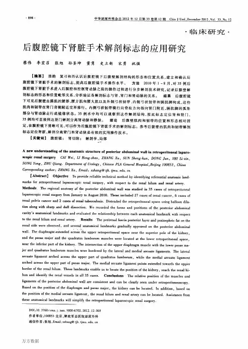 1      后腹腔镜下肾脏手术解剖标志的应用研究