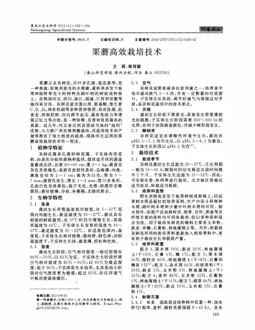栗蘑高效栽培技术