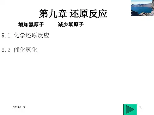 还原反应机理40页PPT
