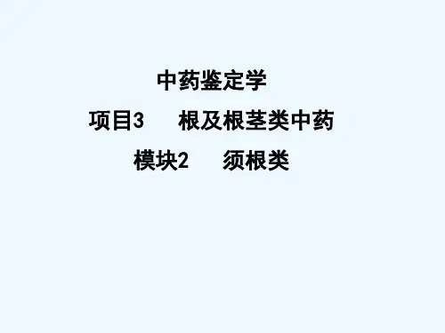 中药学