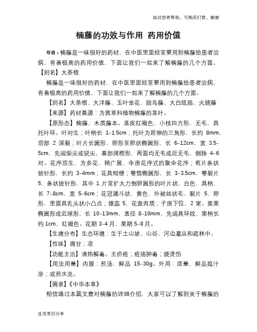 楠藤的功效与作用 药用价值