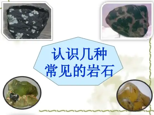 《认识几种常见的岩石》岩石和矿物精品ppt课件3