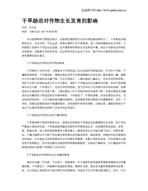 干旱胁迫对作物生长发育的影响