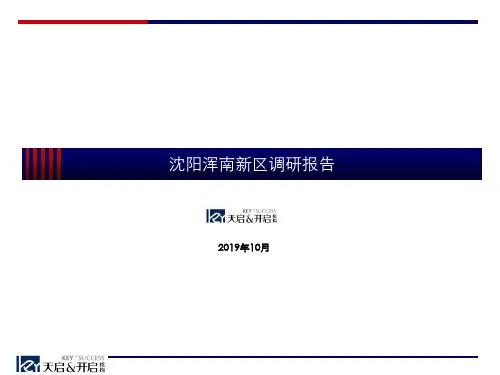 沈阳浑南新区调研报告
