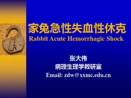 家兔急性失血性休克.