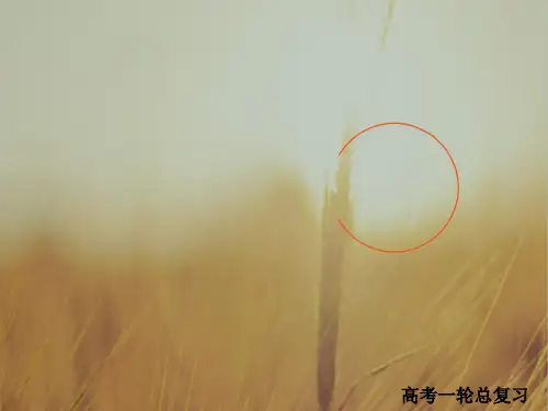 2018版高考一轮总复习物理课件 第8章 恒定电流 8-1 精品