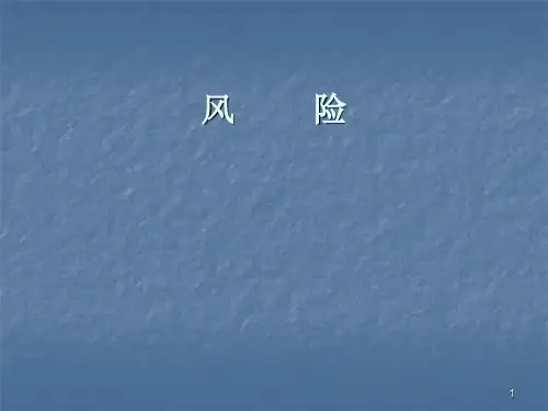 风险ppt课件