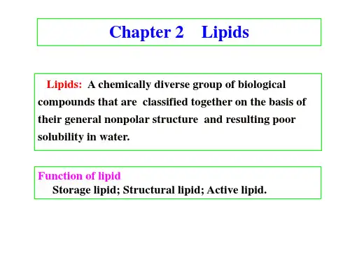 2 lipids脂质