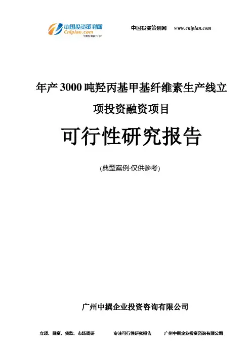 年产3000吨羟丙基甲基纤维素生产线融资投资立项项目可行性研究报告(中撰咨询)