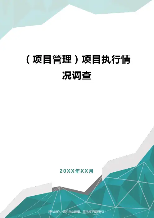 [项目管理]项目执行情况调查