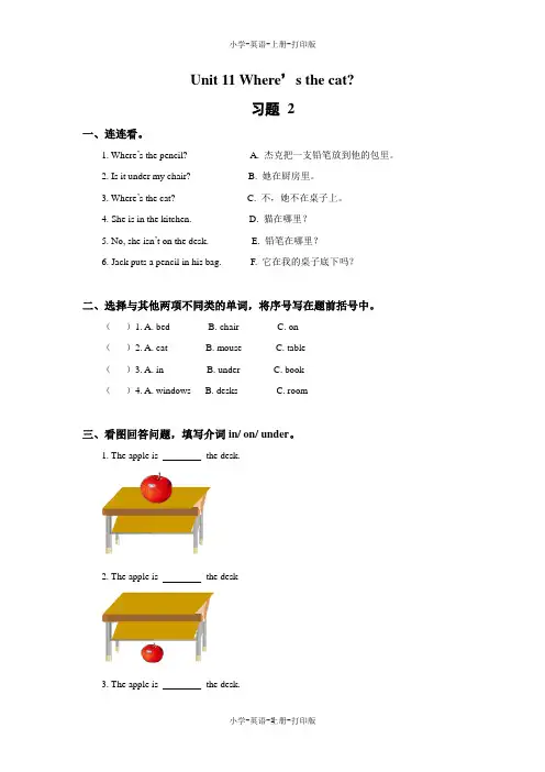 湘少版-英语-四年级上册-Unit 11 Where’s the cat 习题