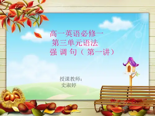 高一强调句ppt
