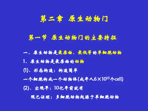 3 第二章 原生动物