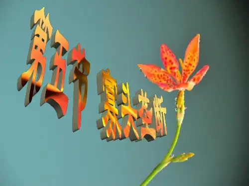 微观经济学第六章06