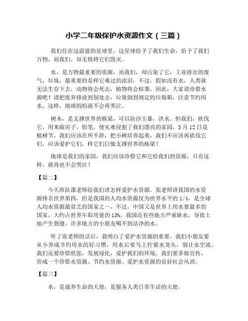 小学二年级保护水资源作文(三篇)