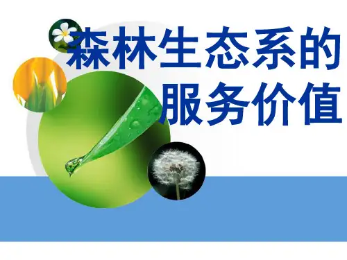 森林生态系统的服务价值