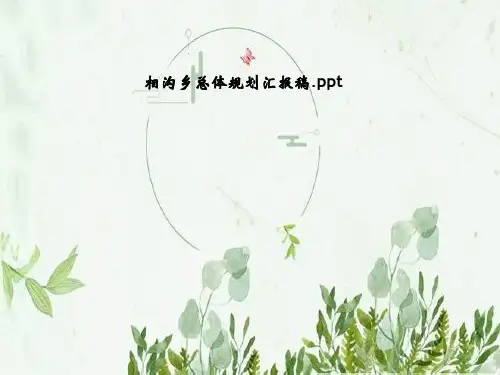 相沟乡总体规划汇报稿