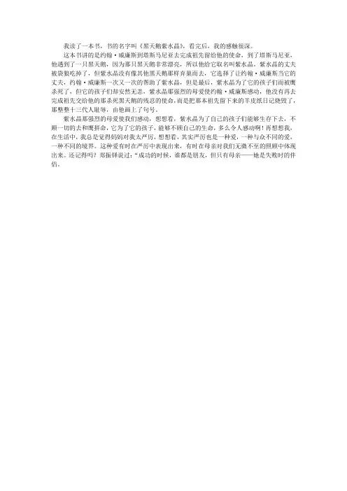 《黑天鹅紫水晶》的读后感