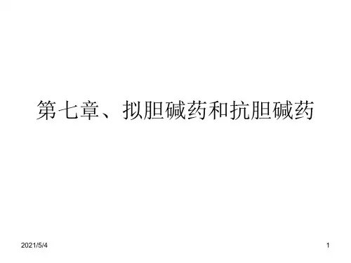 拟胆碱和抗胆碱药