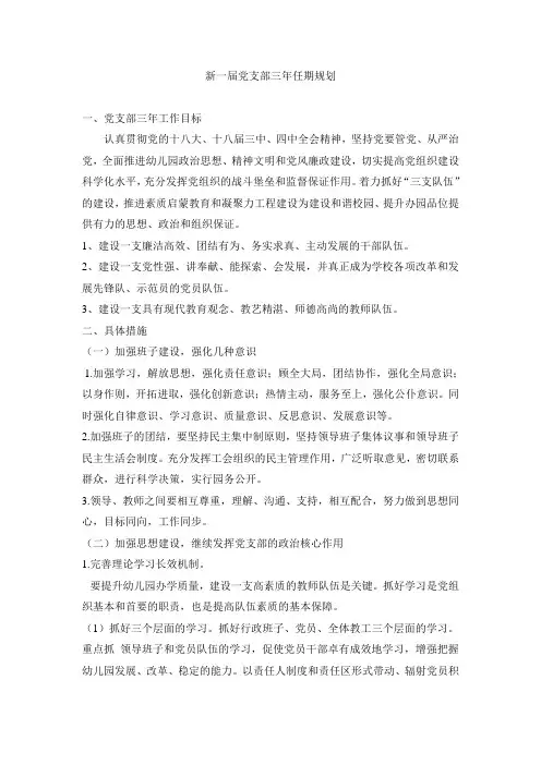 党支部三年规划