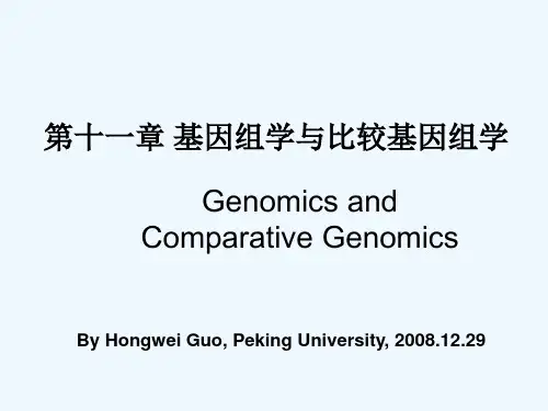 北京大学细胞生物学课件
