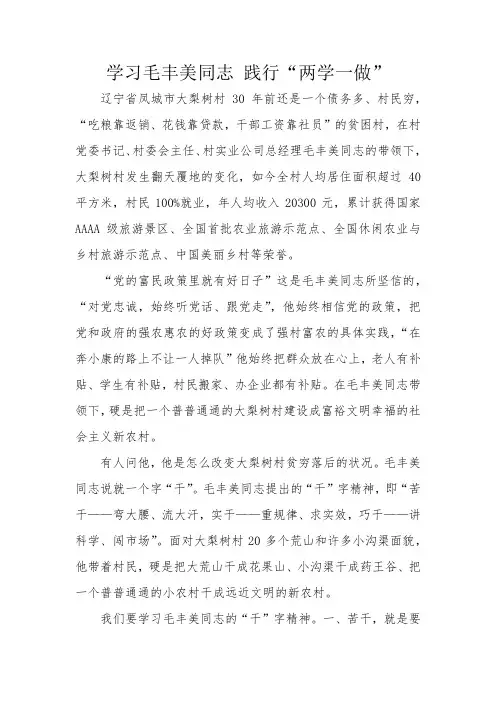 学习毛丰美精神,践行“两学一做”