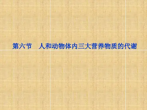 高三生物基础知识自主梳理复习课件30