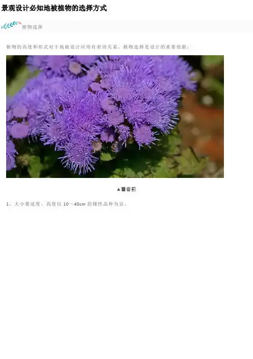 景观设计必知地被植物的选择方式