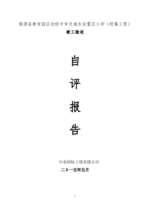市政工程竣工验收报告 2