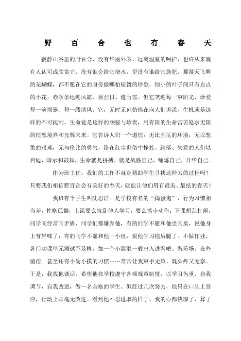 班主任教育故事 2