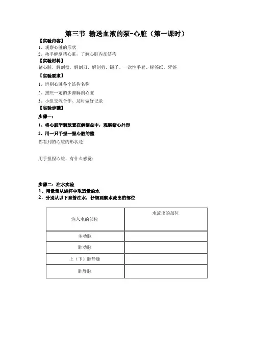 生物人教版七年级下册输送血液的泵——心脏 实验报告