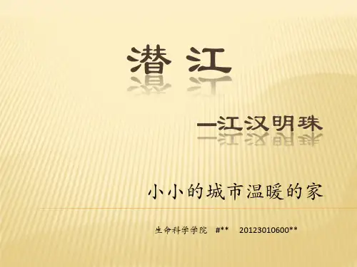 魅力潜江