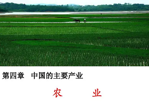 湘教版地理八年级上册4.1农业课件