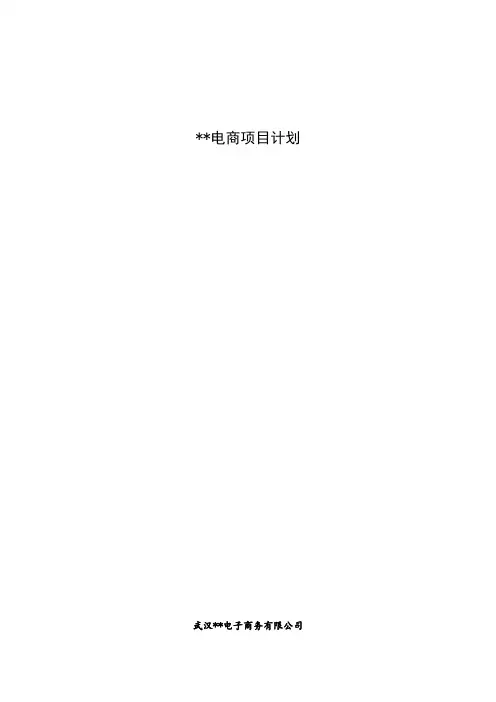 xx电商项目计划书