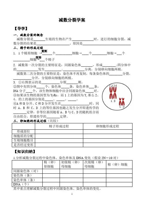 减数分裂  说课稿  教案  教学设计
