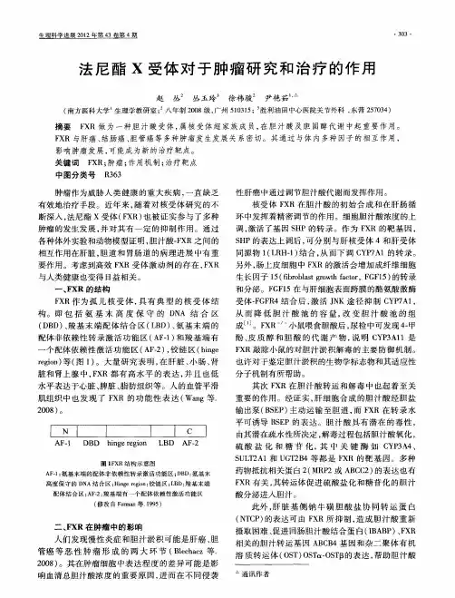 法尼酯X受体对于肿瘤研究和治疗的作用
