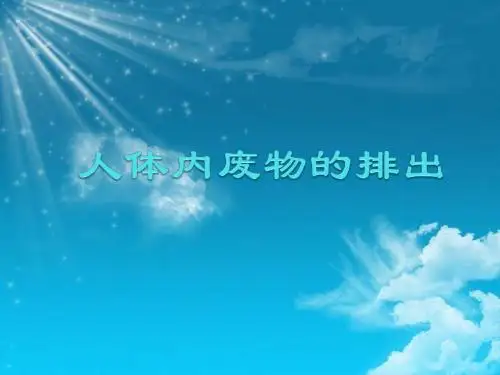 人体内废物的排出