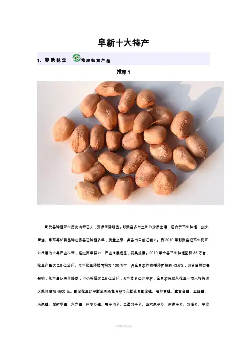 阜新十大特产