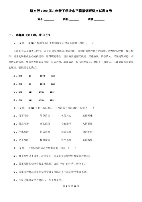 语文版2020届九年级下学业水平模拟调研语文试题B卷