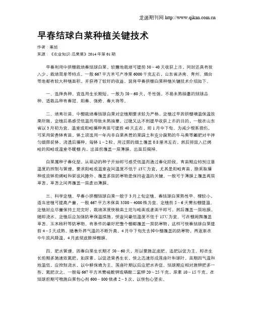 早春结球白菜种植关键技术