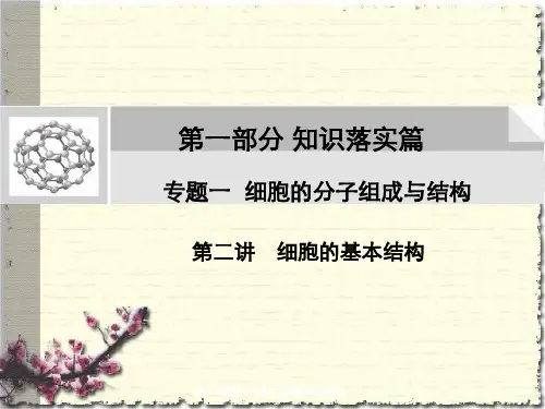 高中生物第二轮复习《细胞基本结构》