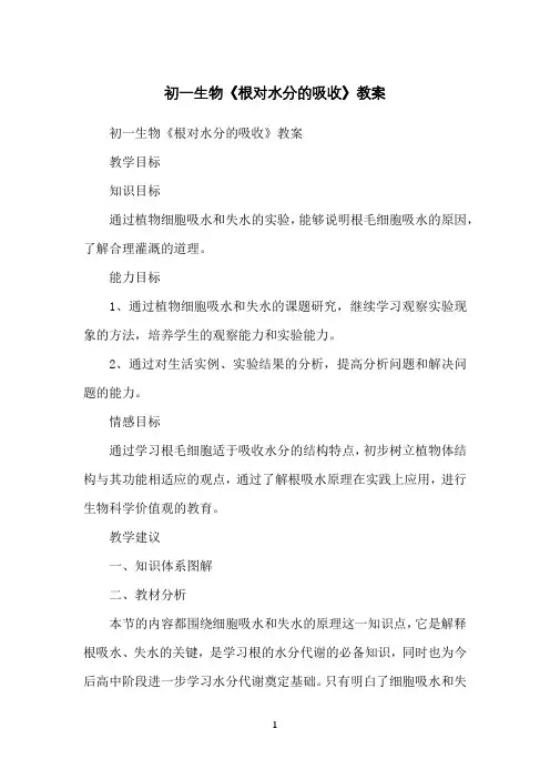 初一生物《根对水分的吸收》教案