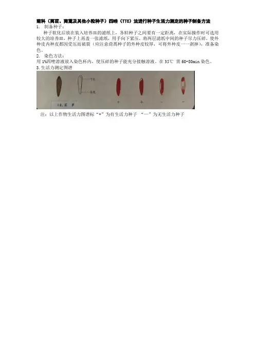 菊科(莴苣、茼蒿及其他小粒种子)四唑(TTC)法进行种子生活.