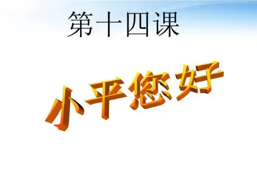 九年级政治 第十四课《小平您好》课件 教科版