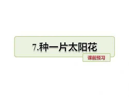 四年级下册语文课件-7.种一片太阳花 课前预习-北师大版