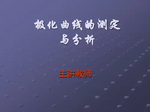恒电位法测阳极极化曲线