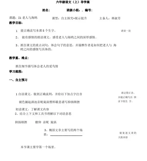 六年级上册语文老人与海鸥导学案